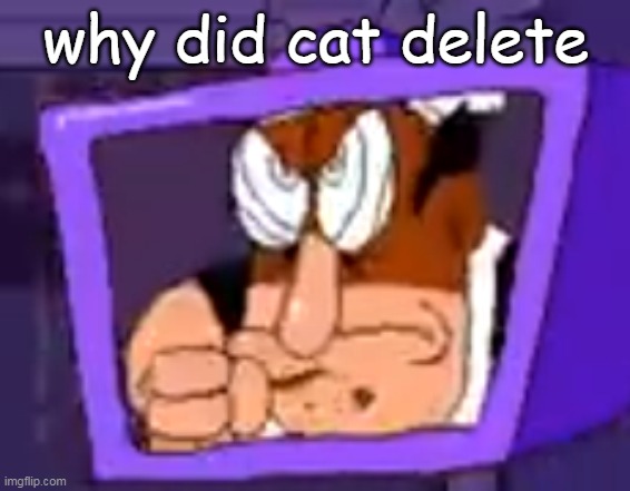 why did cat delete | made w/ Imgflip meme maker