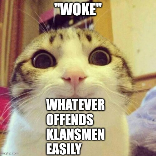 Acronym for "woke" | "WOKE"; WHATEVER
OFFENDS
KLANSMEN
EASILY | image tagged in memes,smiling cat,woke | made w/ Imgflip meme maker