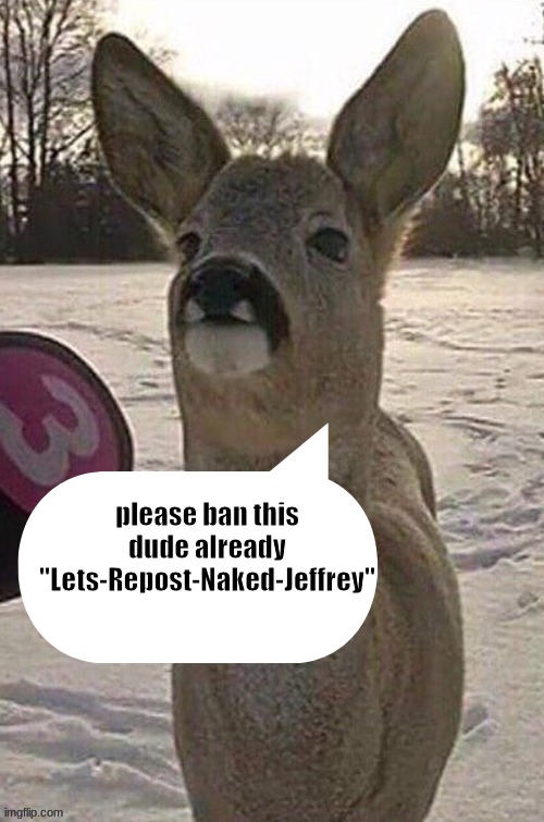 please dawg | please ban this dude already "Lets-Repost-Naked-Jeffrey" | image tagged in deer yap session | made w/ Imgflip meme maker