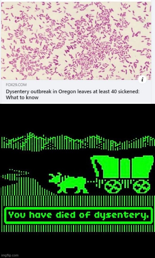 Oregon Trail | image tagged in oregon trail dysentery- i m this old | made w/ Imgflip meme maker