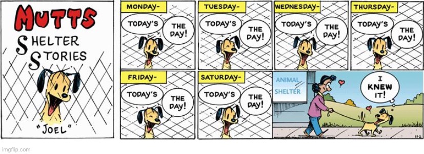 Mutts | image tagged in comics,dog,shelter,story,adoption,aww | made w/ Imgflip meme maker