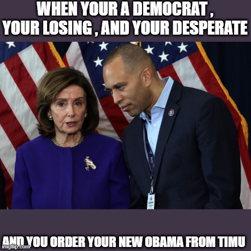 WHEN YOUR A DEMOCRAT , YOUR LOSING , AND YOUR DESPERATE; AND YOU ORDER YOUR NEW OBAMA FROM TIMU | made w/ Imgflip meme maker