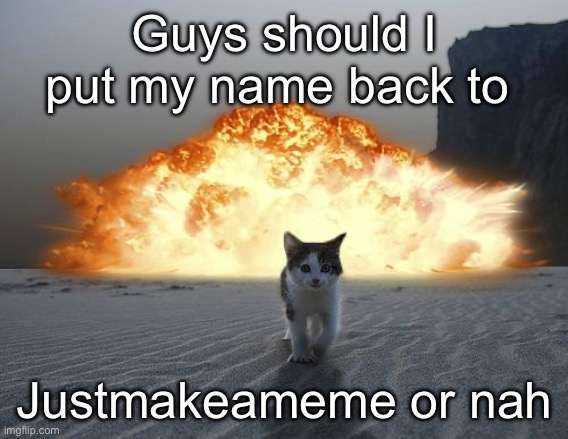 cat explosion | Guys should I put my name back to; Justmakeameme or nah | image tagged in cat explosion | made w/ Imgflip meme maker