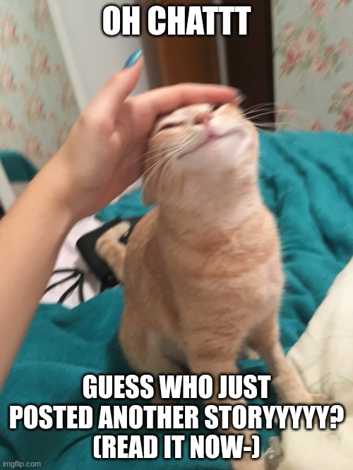 >:3 READ | OH CHATTT; GUESS WHO JUST POSTED ANOTHER STORYYYYY?
(READ IT NOW-) | image tagged in cat pat | made w/ Imgflip meme maker