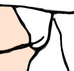 Princess Peach's White Underwear Blank Meme Template