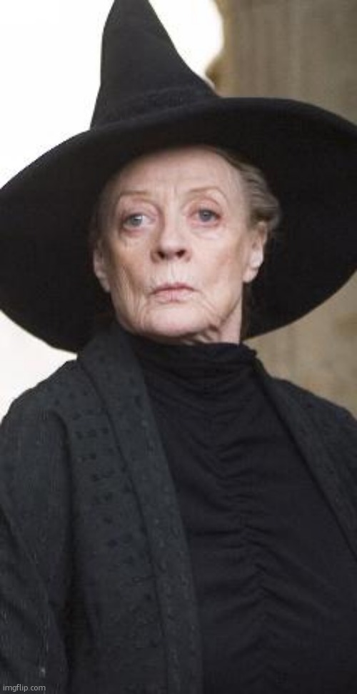 McGonagall | image tagged in mcgonagall | made w/ Imgflip meme maker