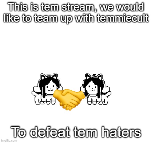 Very cool | This is tem stream, we would like to team up with temmiecult; To defeat tem haters | image tagged in temmie | made w/ Imgflip meme maker