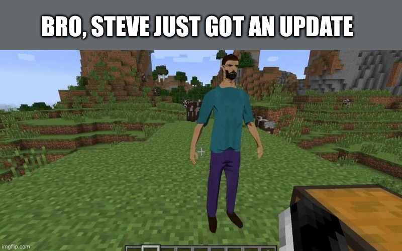 Hmmm | BRO, STEVE JUST GOT AN UPDATE | image tagged in cursed image,minecraft,wisdom,shitpost,funny memes,dank memes | made w/ Imgflip meme maker