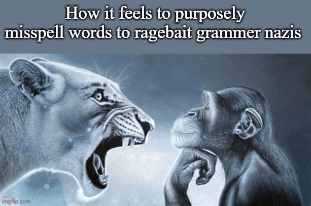 tiger yell at pondering monkey | How it feels to purposely misspell words to ragebait grammer nazis | image tagged in tiger yell at pondering monkey | made w/ Imgflip meme maker