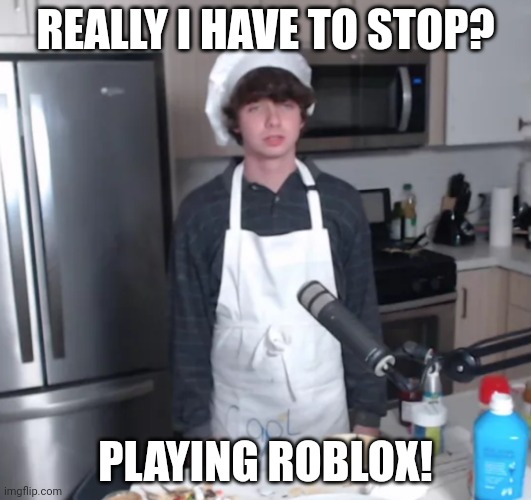 Karl Jacobs | REALLY I HAVE TO STOP? PLAYING ROBLOX! | image tagged in karl jacobs | made w/ Imgflip meme maker