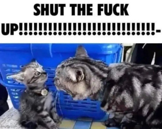 "hey canary theres miss circul in it get over he-" | made w/ Imgflip meme maker