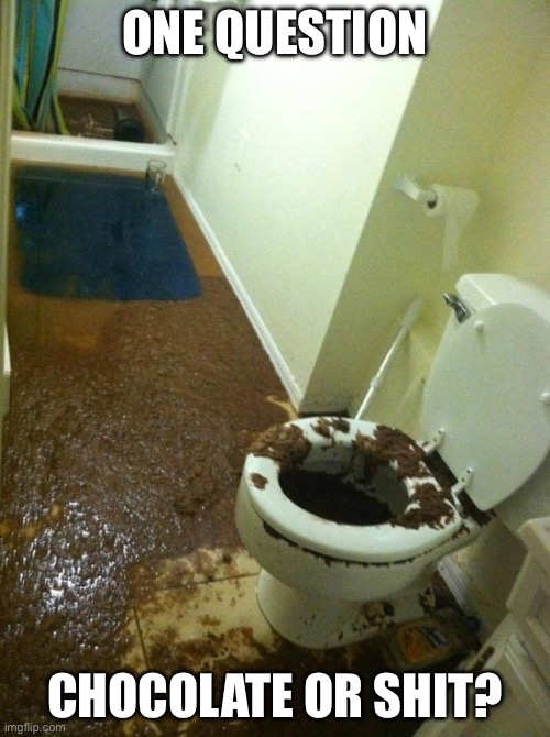 Careful when you came back from Taco Bell | ONE QUESTION; CHOCOLATE OR SHIT? | image tagged in poop,question | made w/ Imgflip meme maker