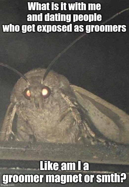 . | What is it with me and dating people who get exposed as groomers; Like am I a groomer magnet or smth? | image tagged in moth | made w/ Imgflip meme maker