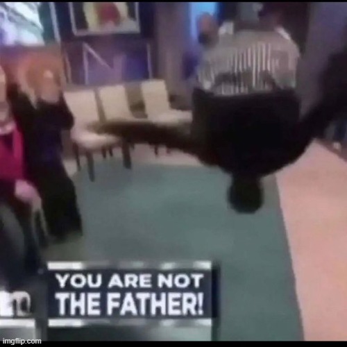 You are not the father! | image tagged in you are not the father | made w/ Imgflip meme maker