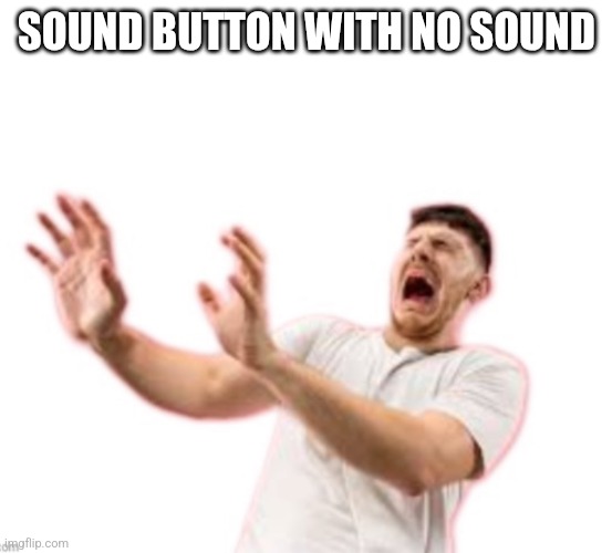 Fr*nch | SOUND BUTTON WITH NO SOUND | image tagged in fr nch | made w/ Imgflip meme maker
