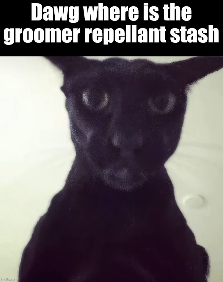 evil larry | Dawg where is the groomer repellant stash | image tagged in evil larry | made w/ Imgflip meme maker