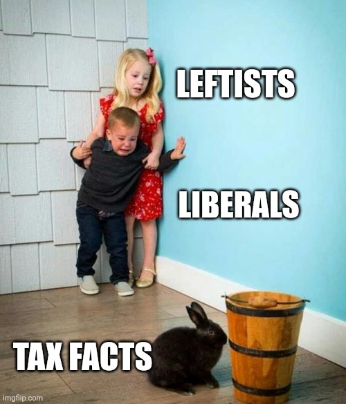 Children scared of rabbit | LEFTISTS LIBERALS TAX FACTS | image tagged in children scared of rabbit | made w/ Imgflip meme maker