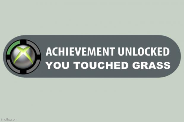 Finally | YOU TOUCHED GRASS | image tagged in achievement unlocked | made w/ Imgflip meme maker