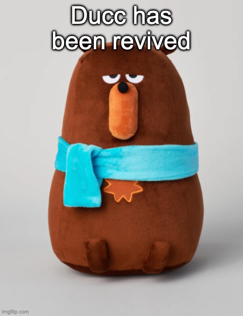 Falstaff plush | Ducc has been revived | image tagged in falstaff plush,voting game s7 | made w/ Imgflip meme maker