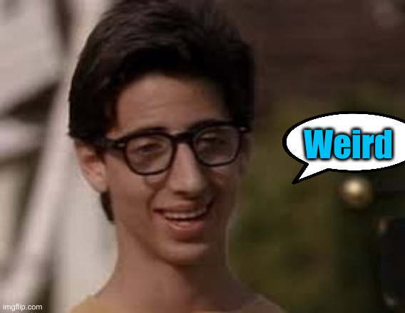 Rachel Maddow wonder years | Weird | image tagged in rachel maddow wonder years | made w/ Imgflip meme maker
