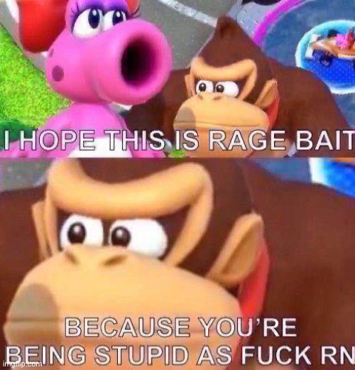 New reaction image | image tagged in donkey kong i hope this is rage bait | made w/ Imgflip meme maker