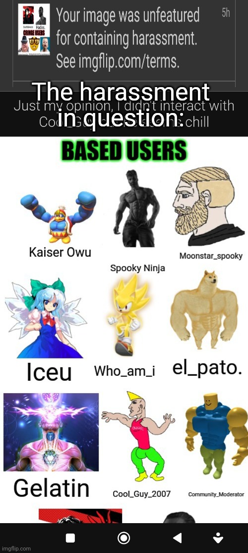 There's more to this post with the cringe users section | The harassment in question: | image tagged in memes,msmg | made w/ Imgflip meme maker
