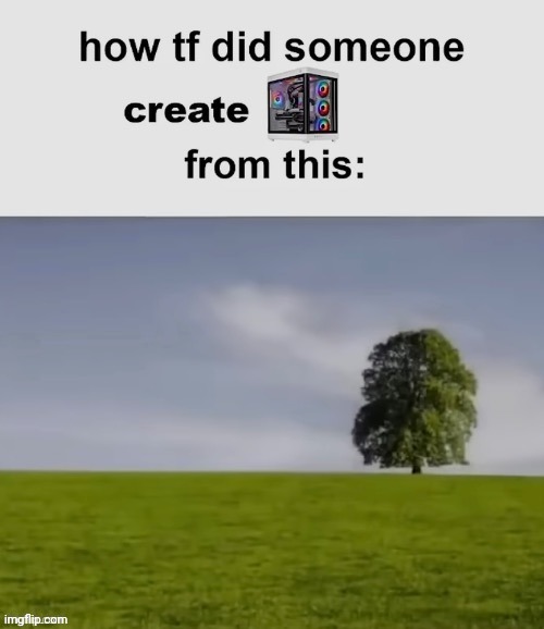 Trees have magic | image tagged in memes,msmg | made w/ Imgflip meme maker