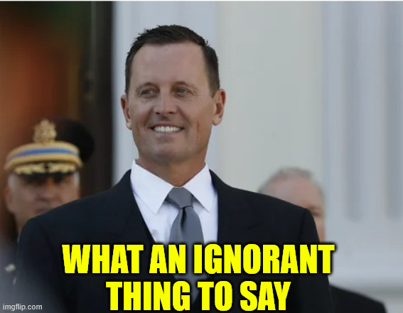 richard grenell | WHAT AN IGNORANT THING TO SAY | image tagged in richard grenell | made w/ Imgflip meme maker
