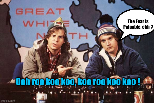 mckenzie brothers | Ooh roo koo koo, koo roo koo koo ! The Fear Is Palpable, ehh ? | image tagged in mckenzie brothers | made w/ Imgflip meme maker