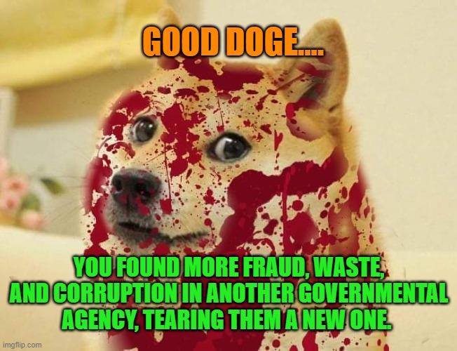 Bloody doge | GOOD DOGE.... YOU FOUND MORE FRAUD, WASTE, AND CORRUPTION IN ANOTHER GOVERNMENTAL AGENCY, TEARING THEM A NEW ONE. | image tagged in bloody doge | made w/ Imgflip meme maker