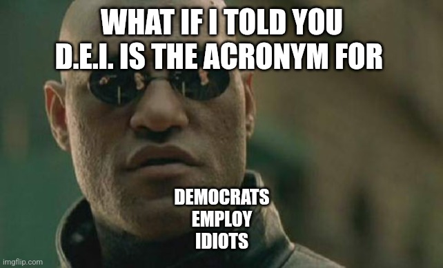 D.E.I. libs doge | WHAT IF I TOLD YOU D.E.I. IS THE ACRONYM FOR; DEMOCRATS
EMPLOY
IDIOTS | image tagged in memes,matrix morpheus | made w/ Imgflip meme maker