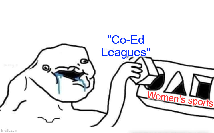 Stupid dumb drooling puzzle | "Co-Ed Leagues" Women's sports | image tagged in stupid dumb drooling puzzle | made w/ Imgflip meme maker