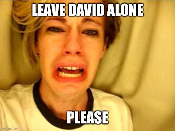 literally nobody ever | LEAVE DAVID ALONE; PLEASE | image tagged in leave britney alone | made w/ Imgflip meme maker