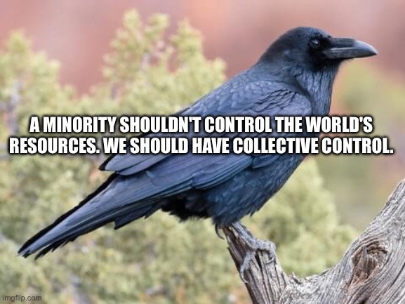 A MINORITY SHOULDN'T CONTROL THE WORLD'S RESOURCES. WE SHOULD HAVE COLLECTIVE CONTROL. | image tagged in raven | made w/ Imgflip meme maker