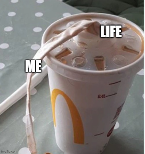 LIFE; ME | image tagged in life | made w/ Imgflip meme maker