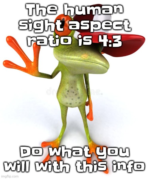 Stewardess - sElf | The human sight aspect ratio is 4:3; Do what you will with this info | image tagged in frawg | made w/ Imgflip meme maker