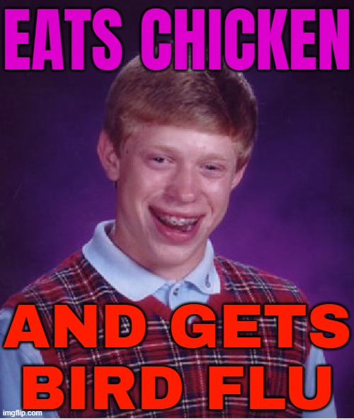 Eats Chicken; And Gets Bird Flu | EATS CHICKEN; AND GETS
BIRD FLU | image tagged in memes,bad luck brian,flu,chickens,food memes,healthcare | made w/ Imgflip meme maker