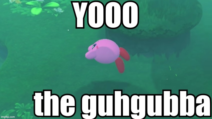 YOOO the guhgubba | image tagged in yooo the guhgubba,shitpost,kirby | made w/ Imgflip meme maker