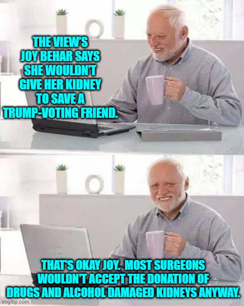 In reality she doesn't have friends; she has got sycophants instead. | THE VIEW’S JOY BEHAR SAYS SHE WOULDN’T GIVE HER KIDNEY TO SAVE A TRUMP-VOTING FRIEND. THAT'S OKAY JOY.  MOST SURGEONS WOULDN'T ACCEPT THE DONATION OF DRUGS AND ALCOHOL DAMAGED KIDNEYS ANYWAY. | image tagged in yep | made w/ Imgflip meme maker