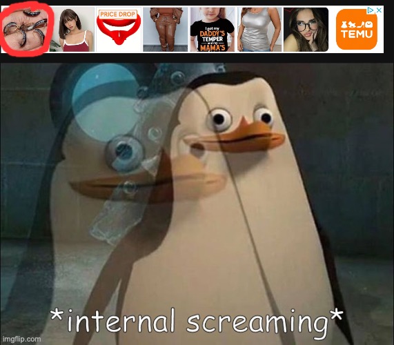 I can't respond to comments because I'm comment muted, but ISTG this popped up on my computer | image tagged in temu ad,private internal screaming | made w/ Imgflip meme maker