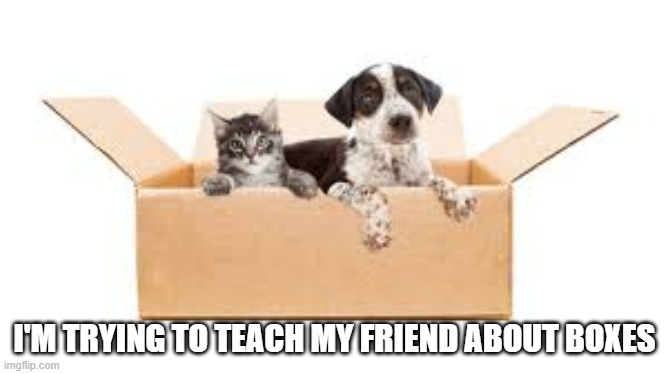 memes by Brad - kitten is teaching dog about boxes - cute - | I'M TRYING TO TEACH MY FRIEND ABOUT BOXES | image tagged in cats,kitten,dog,boxes,friends,teaching | made w/ Imgflip meme maker