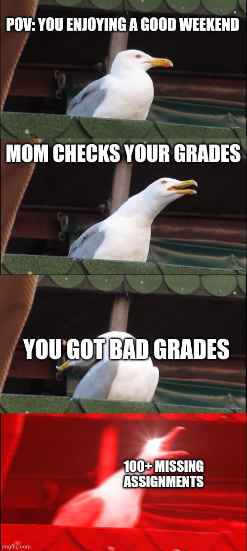 inhaling seagull | POV: YOU ENJOYING A GOOD WEEKEND; MOM CHECKS YOUR GRADES; YOU GOT BAD GRADES; 100+ MISSING ASSIGNMENTS | image tagged in memes,inhaling seagull | made w/ Imgflip meme maker