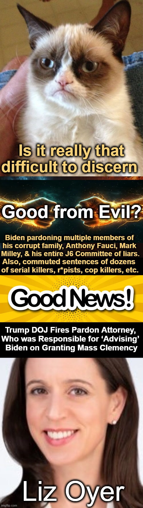 Even Grumpy Cat Gets It! Buh-bye! | Is it really that difficult to discern; Good from Evil? Biden pardoning multiple members of 
his corrupt family, Anthony Fauci, Mark 
Milley, & his entire J6 Committee of liars. Also, commuted sentences of dozens 
of serial killers, r*pists, cop killers, etc. Trump DOJ Fires Pardon Attorney, 
Who was Responsible for ‘Advising’ 
Biden on Granting Mass Clemency; Liz Oyer | image tagged in grumpy cat,you're fired,donald trump you're fired,hallelujah,good news everyone,good vs evil | made w/ Imgflip meme maker