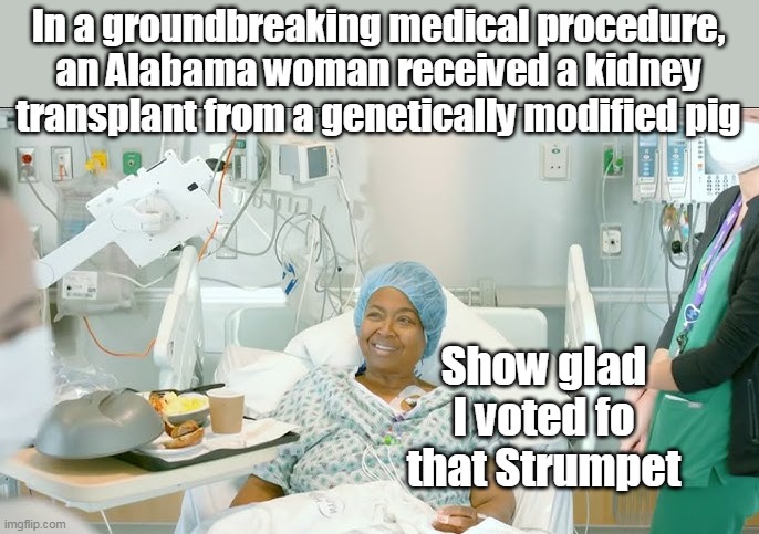 In a groundbreaking medical procedure, an Alabama woman received a kidney transplant from a genetically modified pig Show glad I voted fo th | made w/ Imgflip meme maker