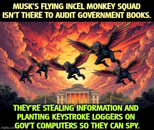 Your private data is already gone. They're laughing at your medical records in Pyongyang. | MUSK'S FLYING INCEL MONKEY SQUAD ISN'T THERE TO AUDIT GOVERNMENT BOOKS. THEY'RE STEALING INFORMATION AND 
PLANTING KEYSTROKE LOGGERS ON 
GOV'T COMPUTERS SO THEY CAN SPY. | image tagged in trump,elon musk,doge,stealing,spying,flying monkeys | made w/ Imgflip meme maker