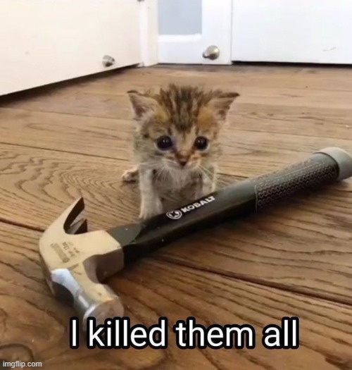 titlecat /ᐠ-ꞈ-ᐟ\ | image tagged in rmk,solutions,the unrighteous shall be cut down | made w/ Imgflip meme maker