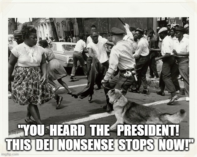 Making America Ghastly Again | "YOU  HEARD  THE   PRESIDENT!  THIS  DEI  NONSENSE  STOPS  NOW!" | image tagged in civil war | made w/ Imgflip meme maker