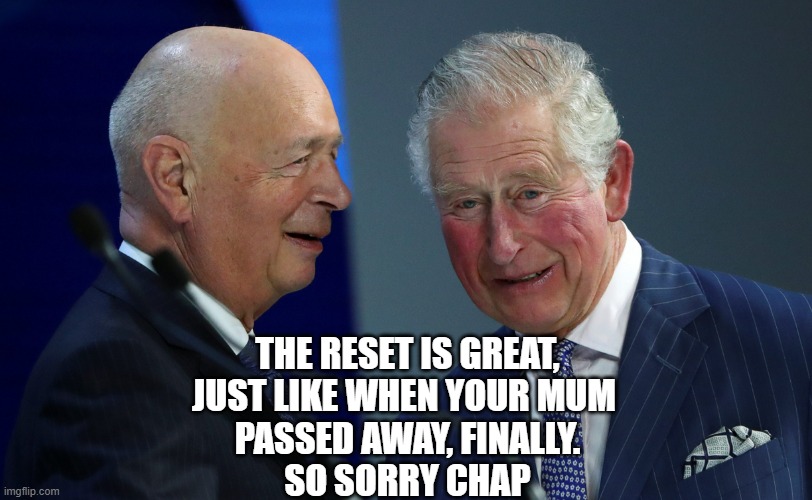 The great reset | THE RESET IS GREAT,
JUST LIKE WHEN YOUR MUM 
PASSED AWAY, FINALLY.
SO SORRY CHAP | image tagged in the great reset | made w/ Imgflip meme maker