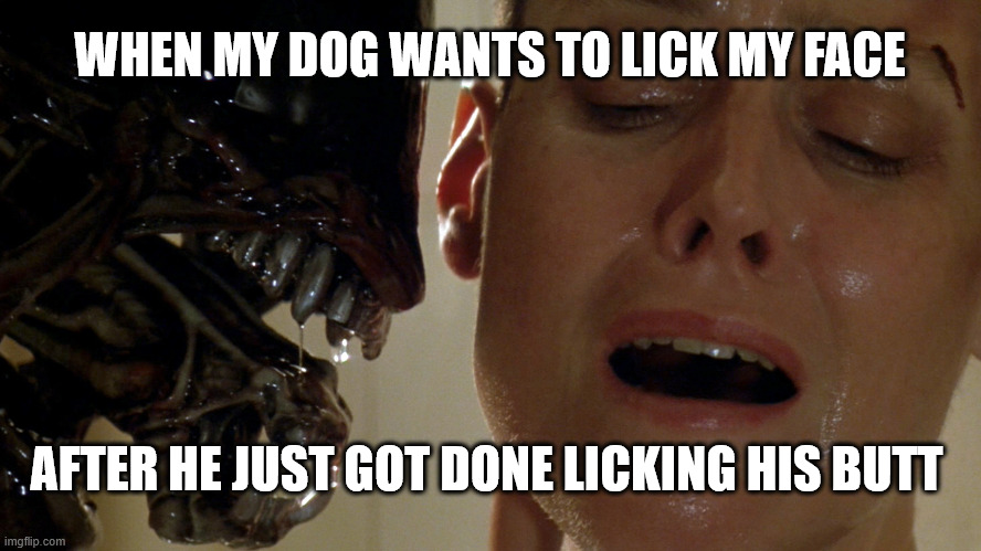 Pet Kisses | WHEN MY DOG WANTS TO LICK MY FACE; AFTER HE JUST GOT DONE LICKING HIS BUTT | image tagged in ripley-aliens | made w/ Imgflip meme maker