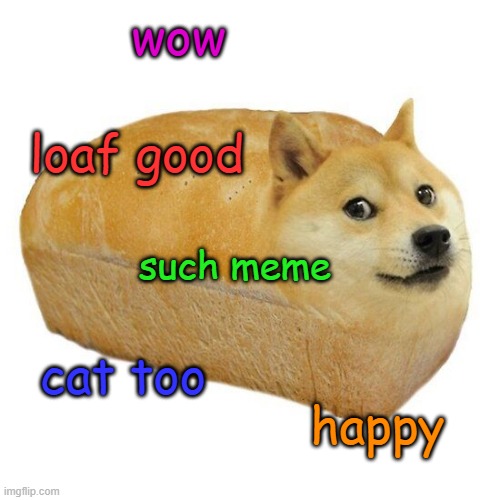 bred for bread | wow; loaf good; such meme; cat too; happy | image tagged in loaf of bread,dog food,facial expressions,doge | made w/ Imgflip meme maker